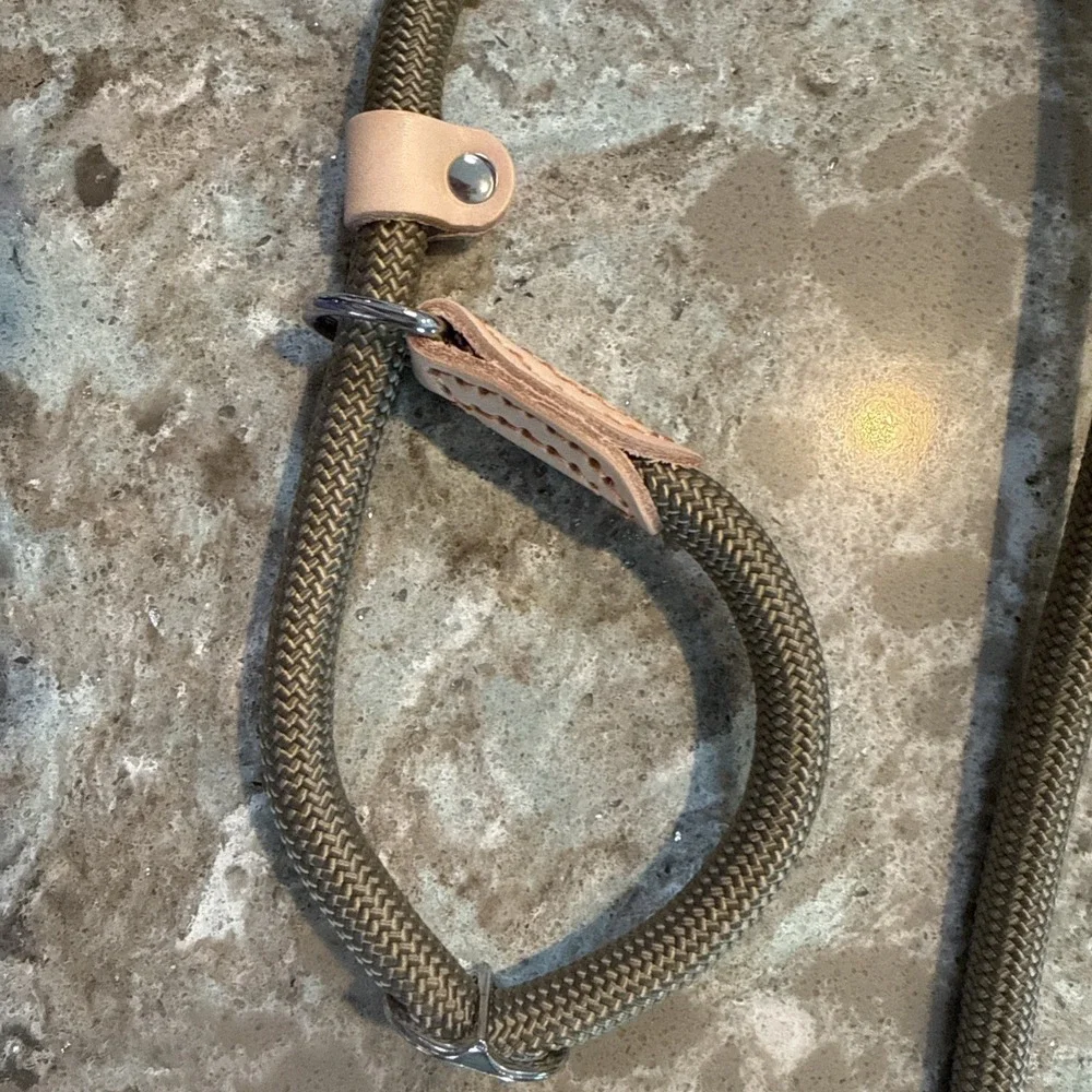 5' Nylon Leather Slip Lead Dog Leash Taupe‎ Dog Training Walking Exercise